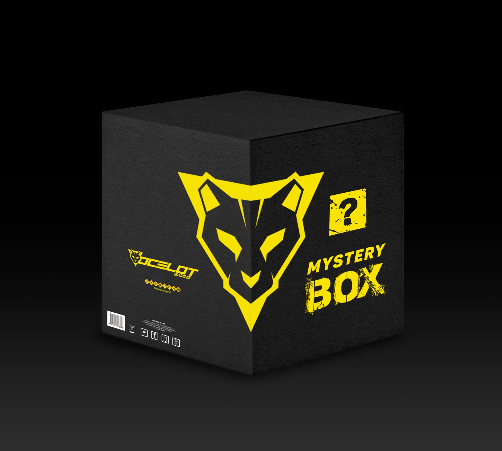 Mystery Box #1