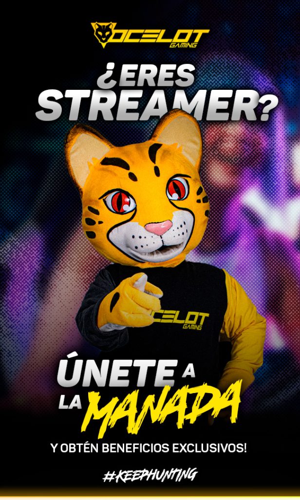 influencer gamer